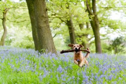 Spring into action - the great outdoors