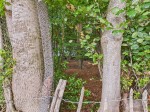 Images for Great Kingshill, High Wycombe, Bucks