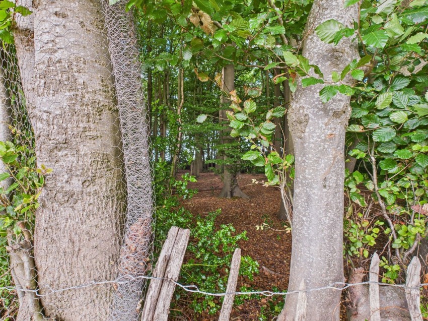 Images for Great Kingshill, High Wycombe, Bucks EAID:2640919782 BID:AME