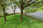 Images for Narcot Lane, Chalfont St. Giles