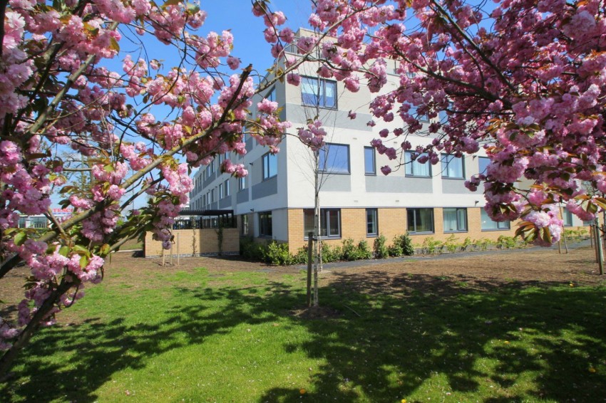 Images for Stanwell, Staines-upon-Thames, Surrey EAID:2640919782 BID:ASH