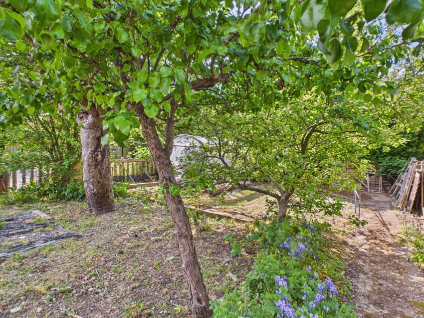 Images for Ashford, Surrey EAID:2640919782 BID:ASH