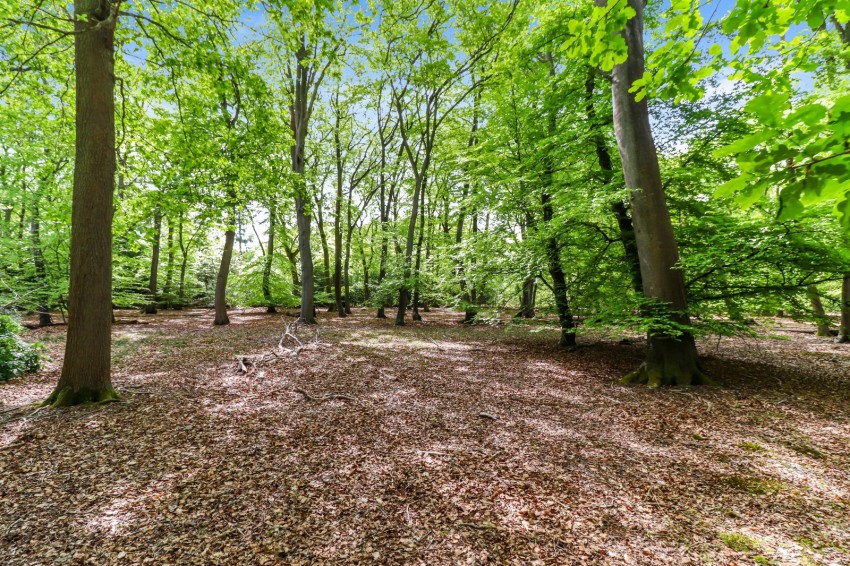 Images for Farnham Common, Buckinghamshire EAID:2640919782 BID:BEA