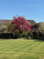 Images for Beaconsfield, Buckinghamshire