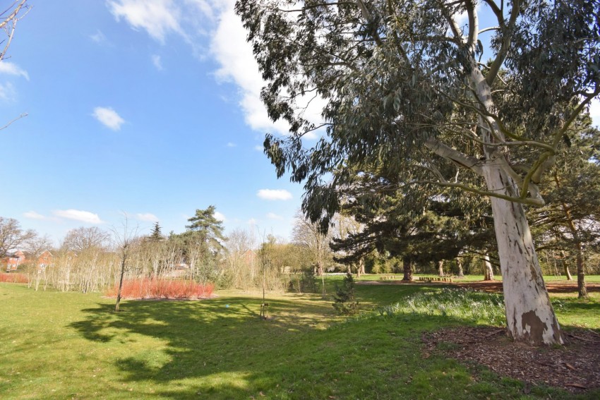 Images for Taplow, Buckinghamshire EAID:2640919782 BID:BUR