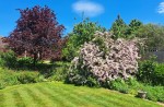 Images for Burnham, Buckinghamshire