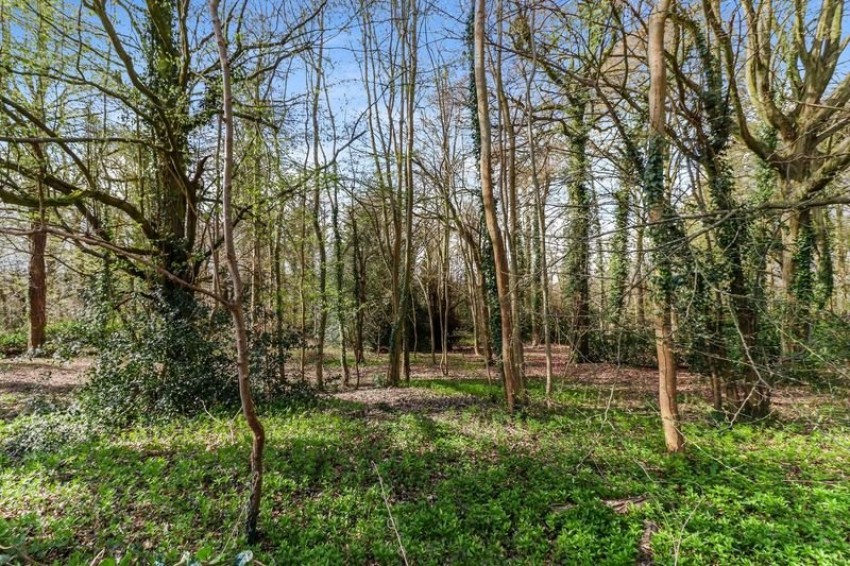 Images for Latimer, Chesham, Buckinghamshire EAID:2640919782 BID:CHE