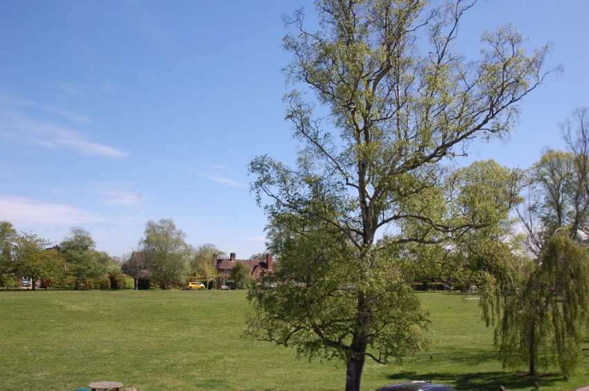 Images for Jordans, Beaconsfield, Buckinghamshire EAID:2640919782 BID:CSG