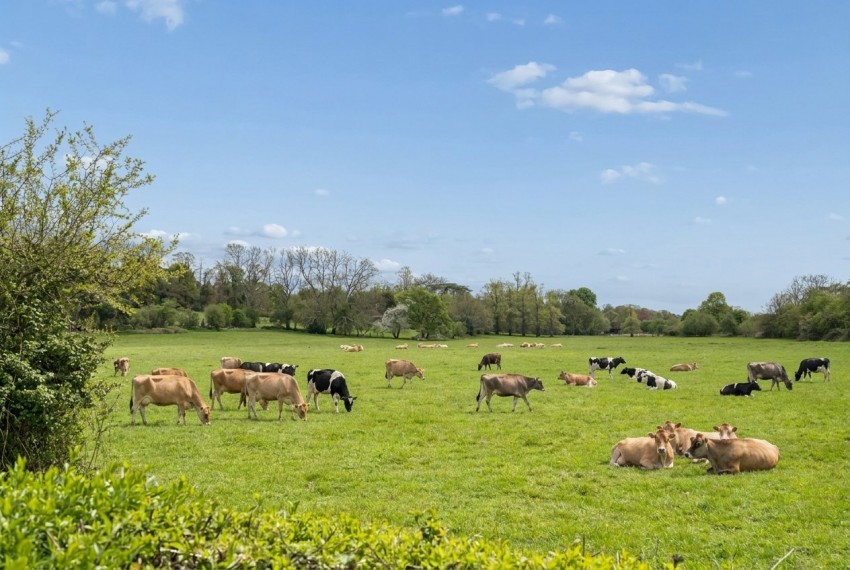 Images for Chalfont St. Giles, Buckinghamshire EAID:2640919782 BID:CSG