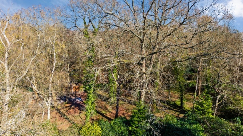 Images for Gerrards Cross, Buckinghamshire EAID:2640919782 BID:GCR