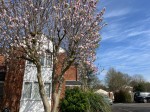 Images for Chalfont St. Peter, Gerrards Cross, Buckinghamshire