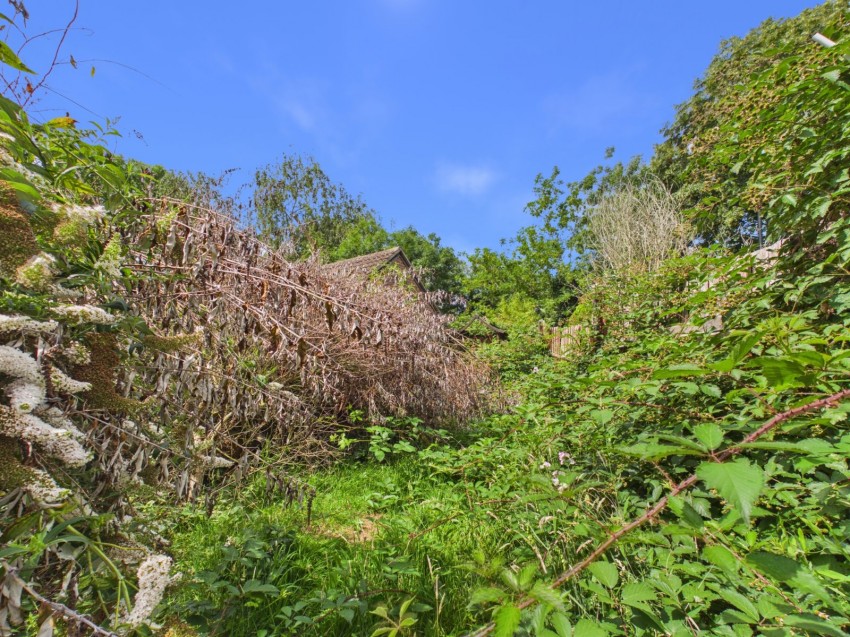 Images for Feltham, Middlesex EAID:2640919782 BID:FEL