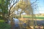Images for High Wycombe