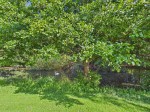 Images for Harleyford, Henley Road, Buckinghamshire