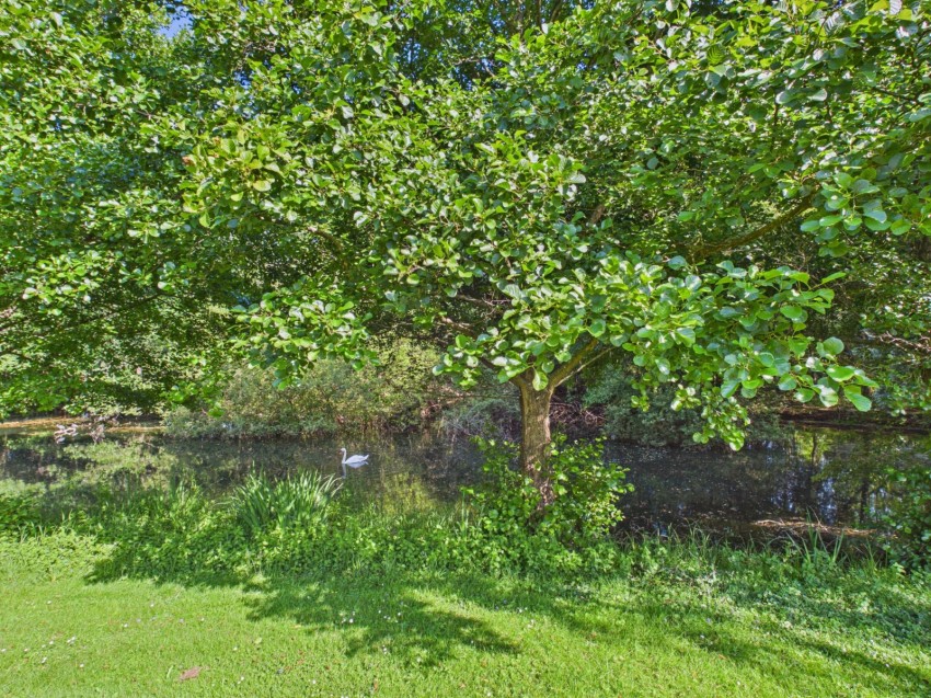 Images for Harleyford, Henley Road, Buckinghamshire EAID:2640919782 BID:FHL