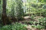 Images for Gerrards Cross, Buckinghamshire