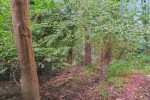 Images for Hedgerley, Buckinghamshire