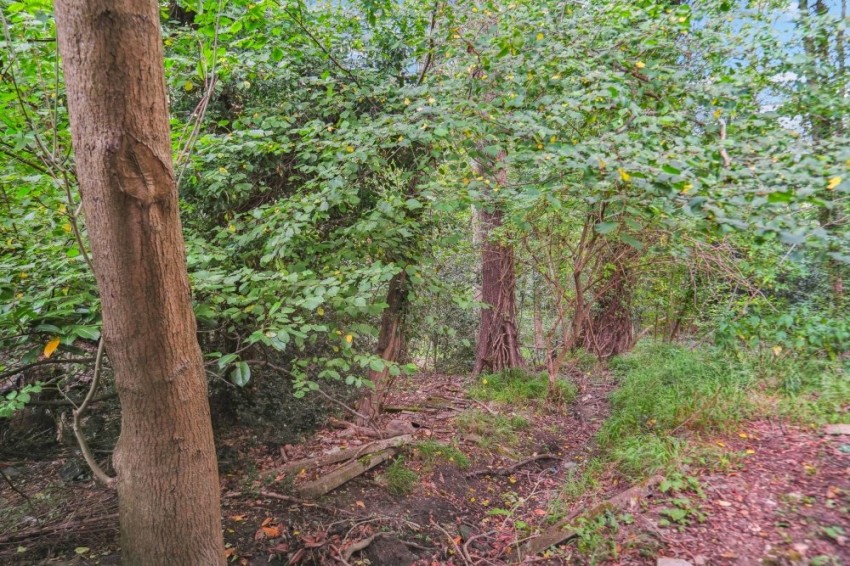 Images for Hedgerley, Buckinghamshire EAID:2640919782 BID:GCR