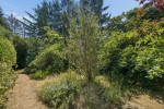 Images for Farnham Common, Buckinghamshire