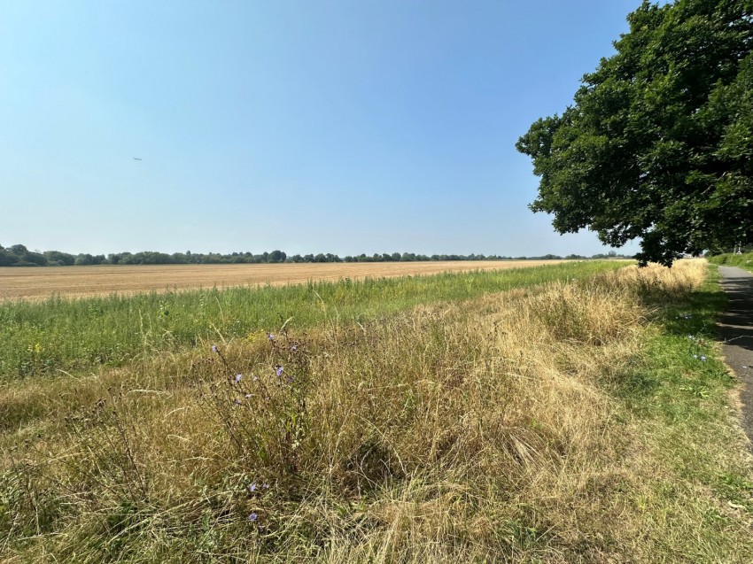Images for Eton Wick, Berkshire EAID:2640919782 BID:WIN