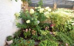 Images for Windsor, Berkshire