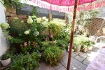 Images for Windsor, Berkshire