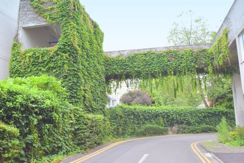 Images for Ward Royal, Windsor, Berkshire EAID:2640919782 BID:WIN