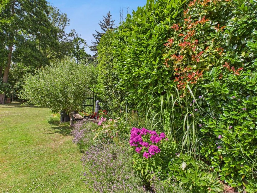 Images for Wraysbury, Berkshire EAID:2640919782 BID:WRA