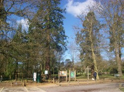 Green Flags for Buckinghamshire