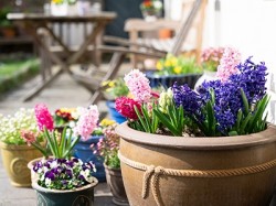 Get your garden ready for spring.