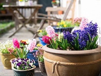 Get your garden ready for spring.