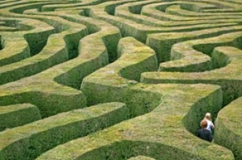 Let us guide you through the lettings maze.