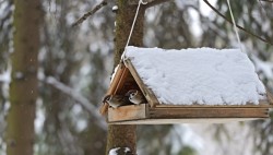 Landlords - Do frozen pipes give you the chills? Relax!